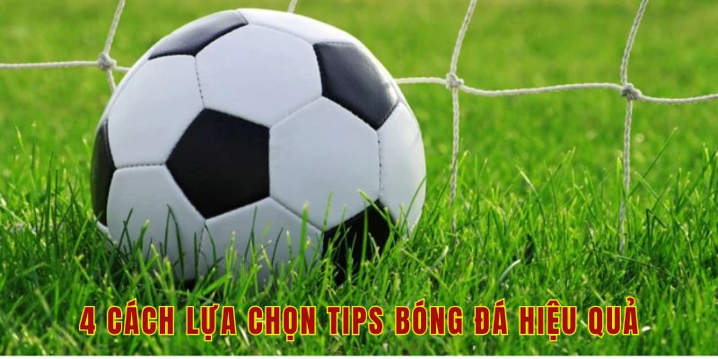 4 cách lựa chọn tips bóng đá hiệu quả