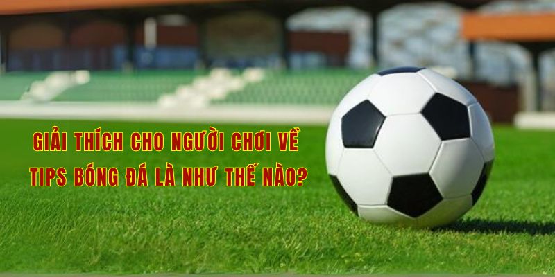 Giải thích cho người chơi về tips bóng đá là như thế nào?